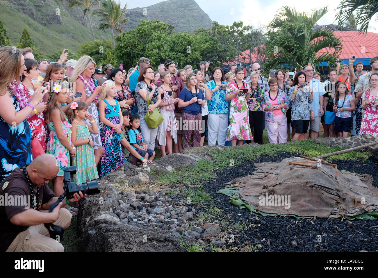 Immer bereit, enthüllen die gebratene Schwein an Häuptlings Luau auf Oahu, Hawaii Stockfoto