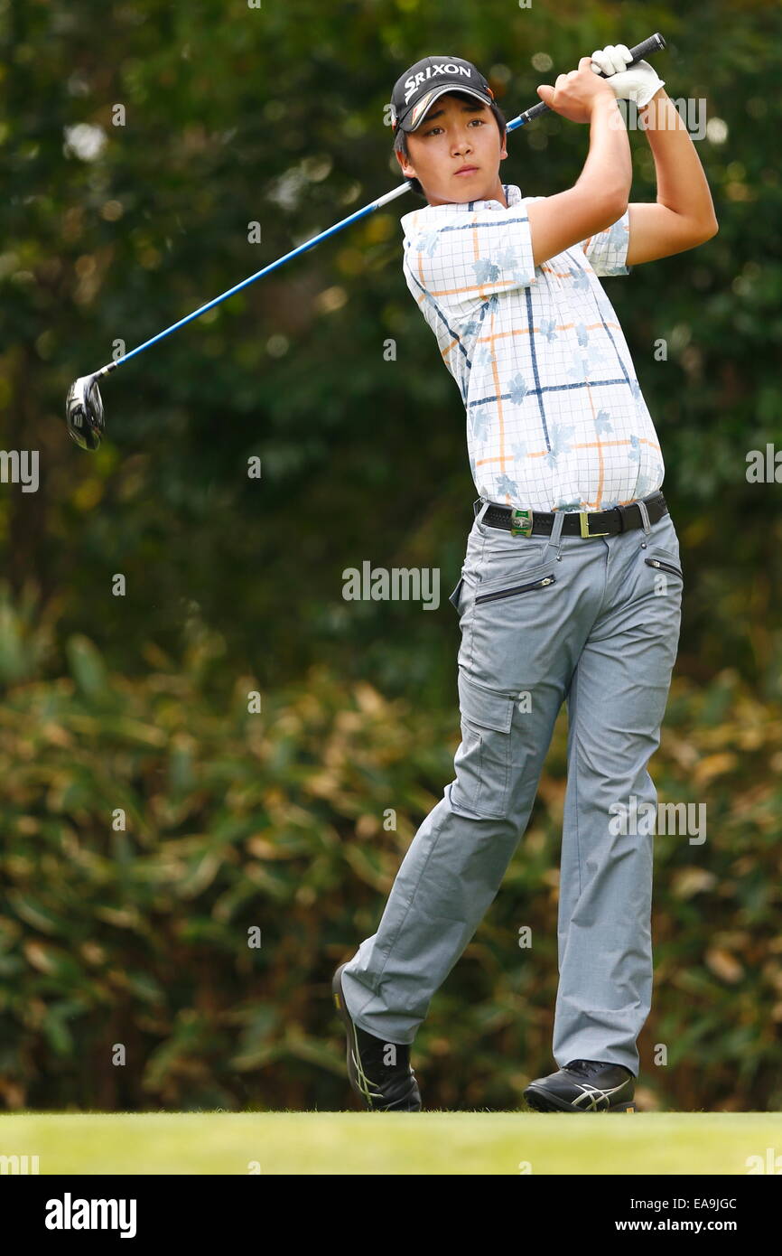 Chiba, Japan. 6. November 2014. Takashi Ogiso Golf: HEIWA PGM Meisterschaft in Kasumigaura ersten Runde im Miho Golf Club in Chiba, Japan. © AFLO SPORT/Alamy Live-Nachrichten Stockfoto