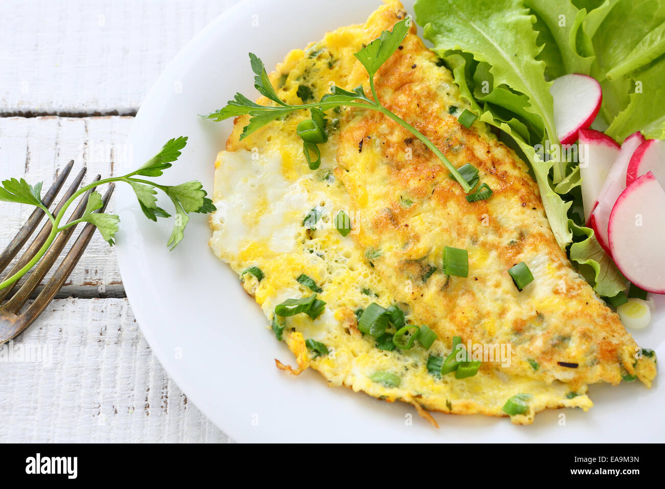 Omelette mit Radieschen, Zwiebeln und Salat, Essen Stockfoto