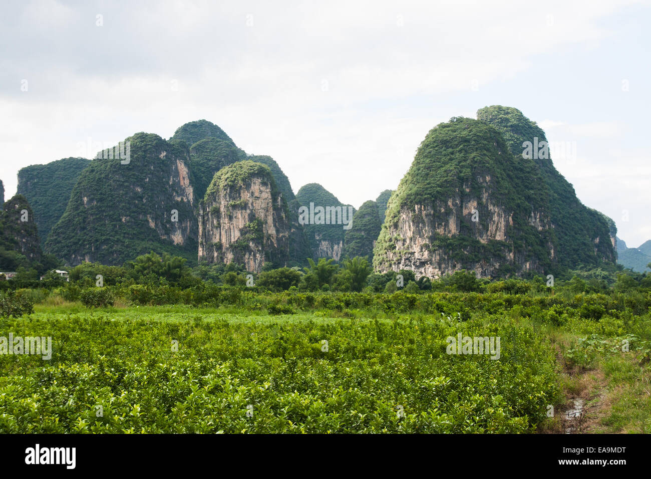 Berge Karstlandschaft in Südchina Stockfoto