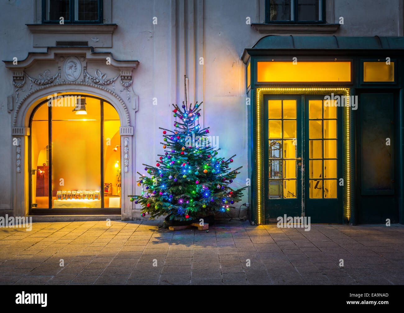 Weihnachtsbaum in Wien Stockfoto