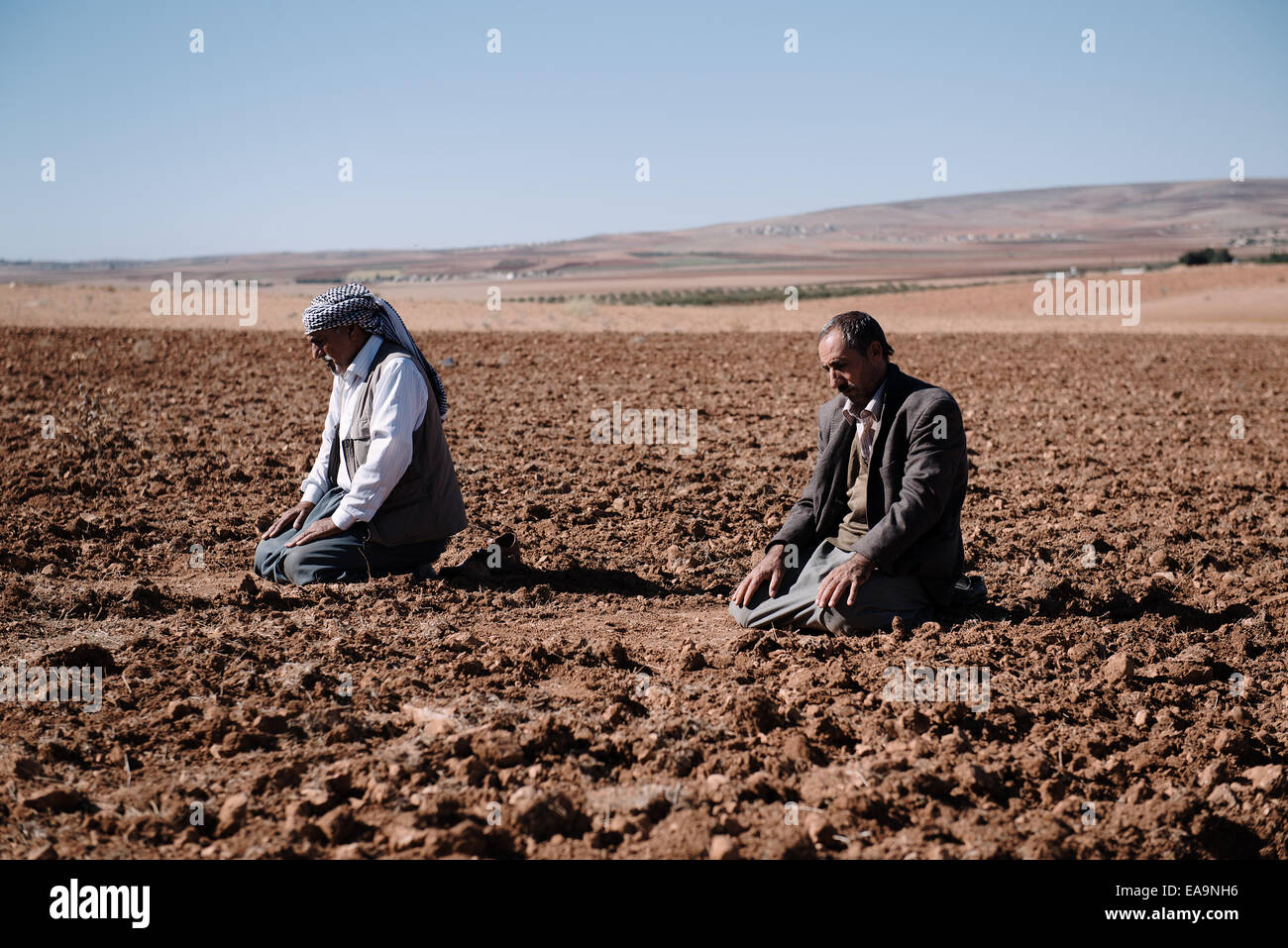 Kurdische Flüchtlinge aus Kobane beten in einem Feld in der türkisch-syrischen Grenze, Suruc, Türkei Stockfoto