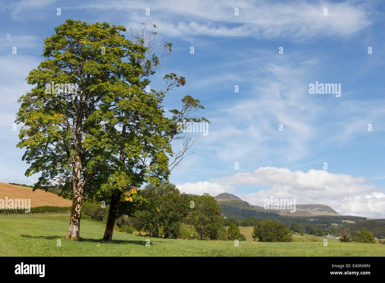 Blick auf den Berg Puy de Sancy vom Dorf Chastreix in der Auvergne, Frankreich Stockfoto