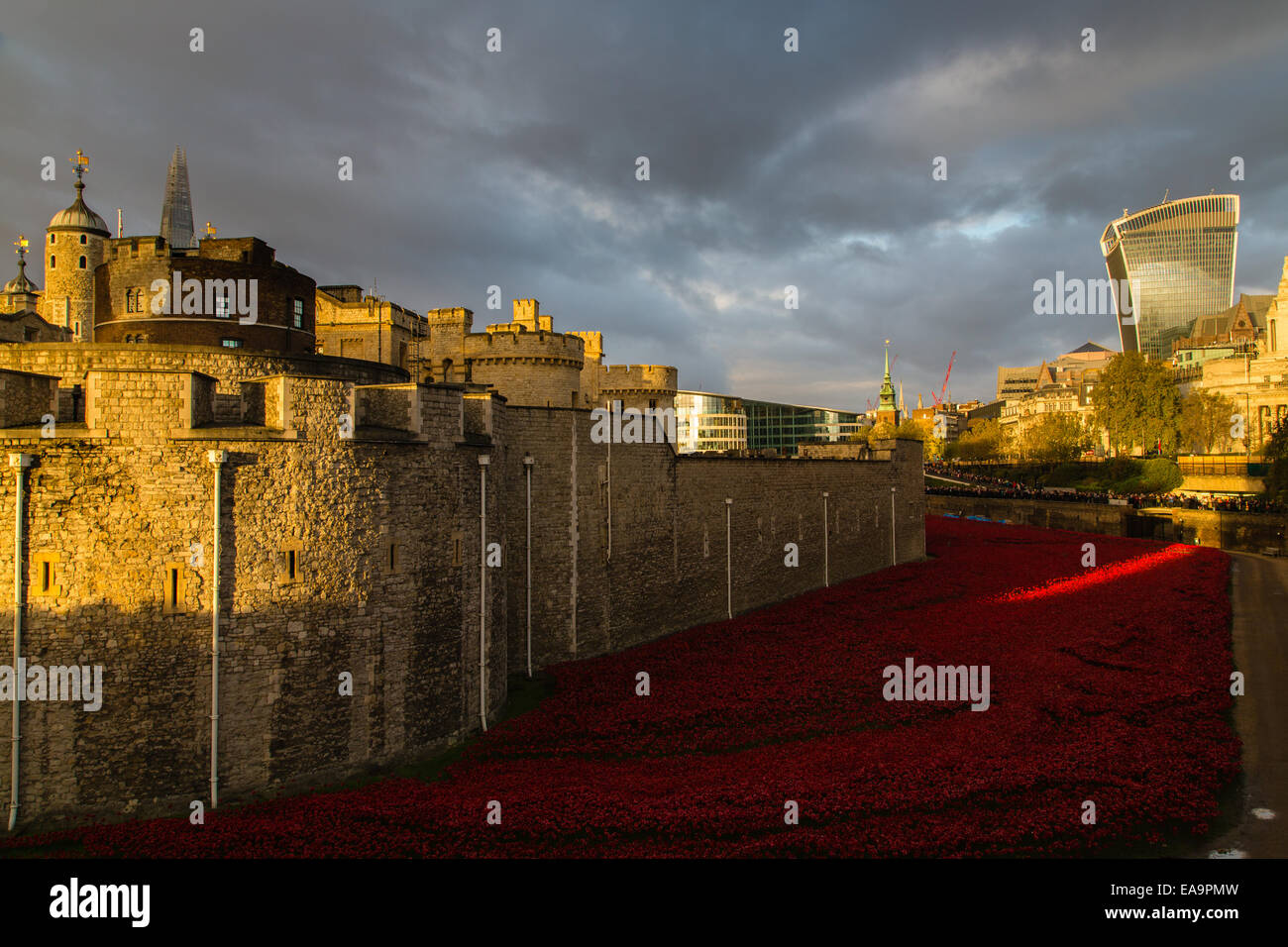 Seite des Tower of London mit Paul Cumminss Mohnblumen im Graben Stockfoto