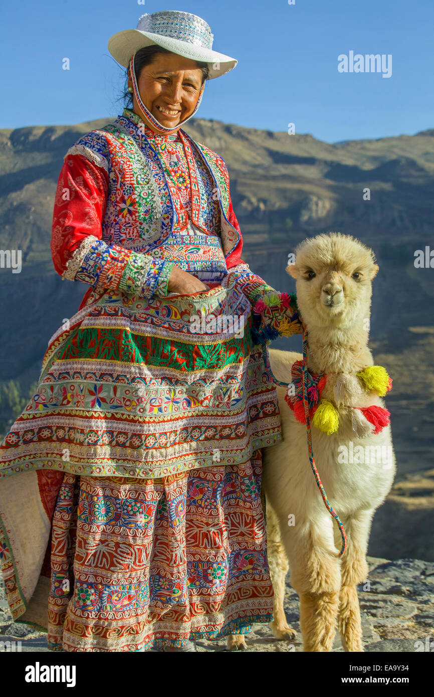 Traditionelle peruanische Frau mit Baby-Alpaka Stockfoto