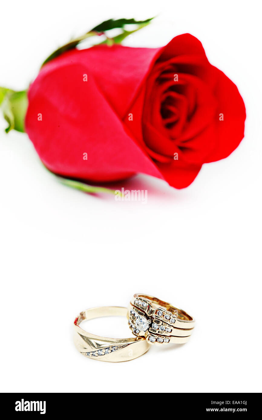 Heiraten Ehering in Rose, willst du mich? Stockfoto