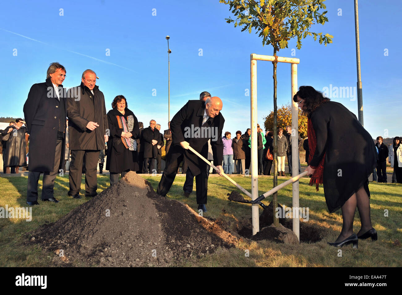 Folmava, Domazlice Region. 8. November 2014. Festveranstaltung zum 25. Jubiläum von dem Fall des Eisernen Vorhangs in Folmava, Domazlice Region, Tschechische Republik, 8. November 2014. Im Bild von links Regierungspräsident der Oberpfalz Axel Bartelt, Franz Loffler des Provinzrates von Cham Bezirk, Gouverneur von Pilsen Region Vaclav Slajs und tschechischen Minister für Arbeit und soziale Angelegenheiten Michaela Marksova Tominova bei der Pflanzung der Eiche, deutscher Nationalbaum. © Pavel Nemecek/CTK Foto/Alamy Live-Nachrichten Stockfoto