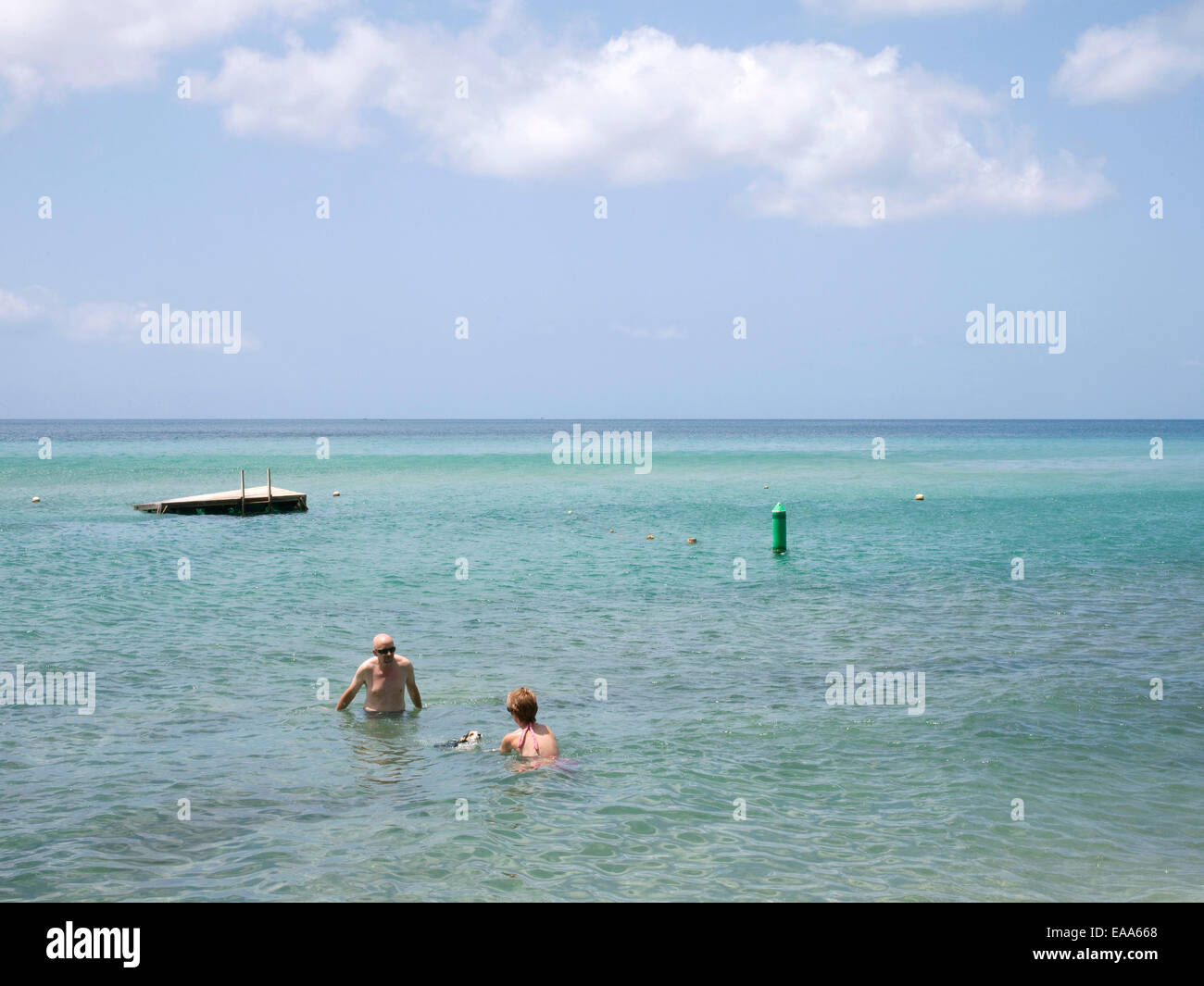 paar in der Karibik schwimmen mit ihrem Hund Stockfoto