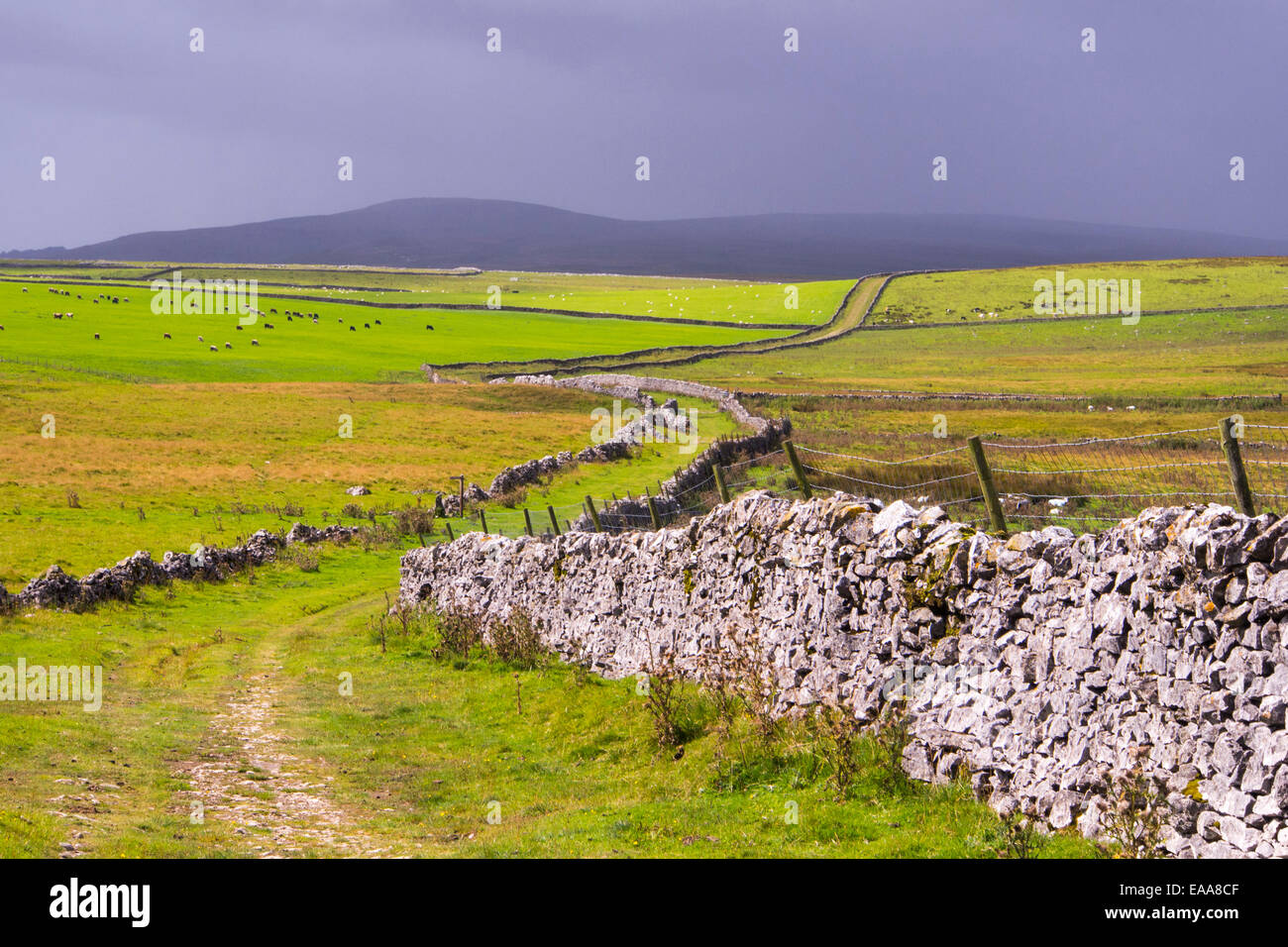 Mastiles Pereulok, eine alte grüne Spur in den Yorkshire Dales, UK. Stockfoto