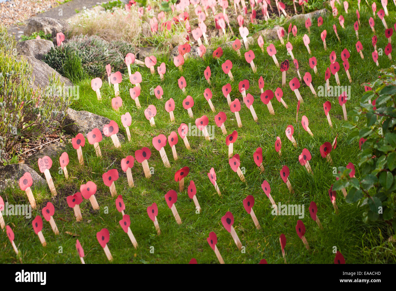 Bournemouth, Dorset, UK. 10. November 2014. Die TaylorFamilie schufen