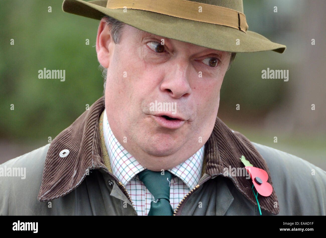 Nigel Farage, MEP. Führer der UKIP, in Rochester Wahlkampf vor November 2014 Nachwahl Stockfoto