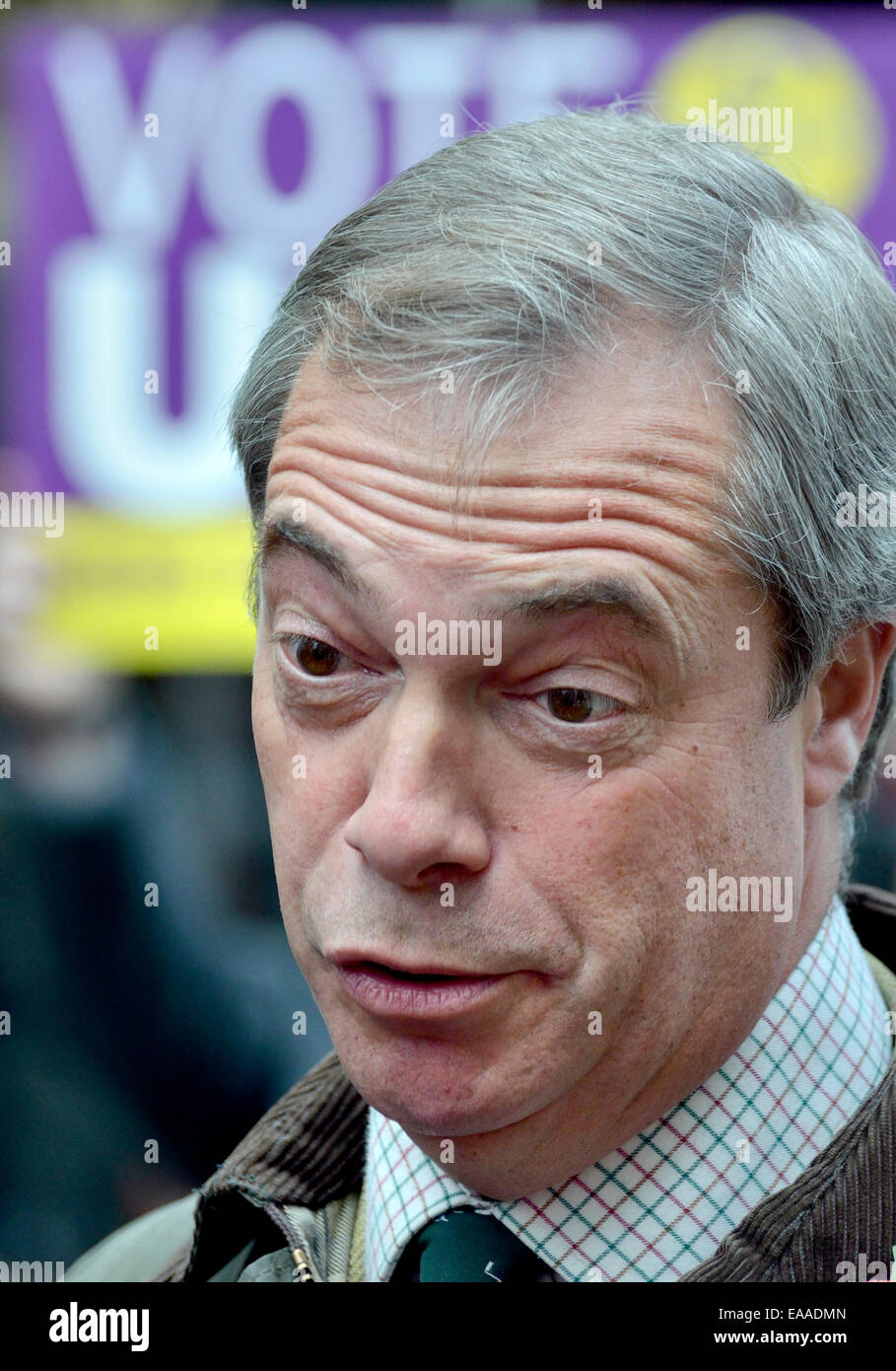Nigel Farage, MEP. Führer der UKIP, in Rochester Wahlkampf vor November 2014 Nachwahl Stockfoto