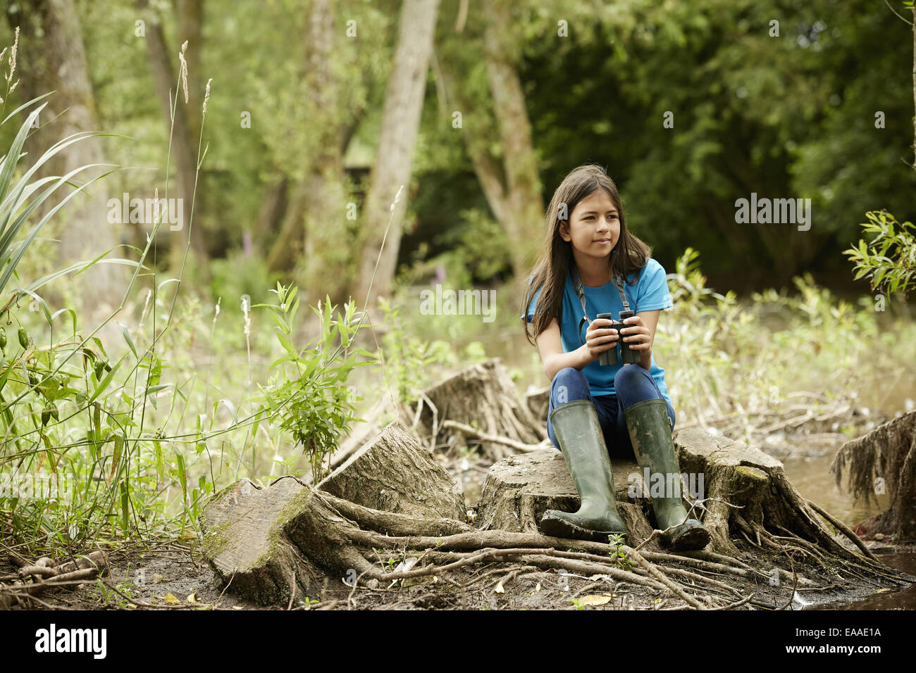 Mädchen-Vogelbeobachtung. Sitzen auf einem Baumstumpf halten Ferngläser. Stockfoto