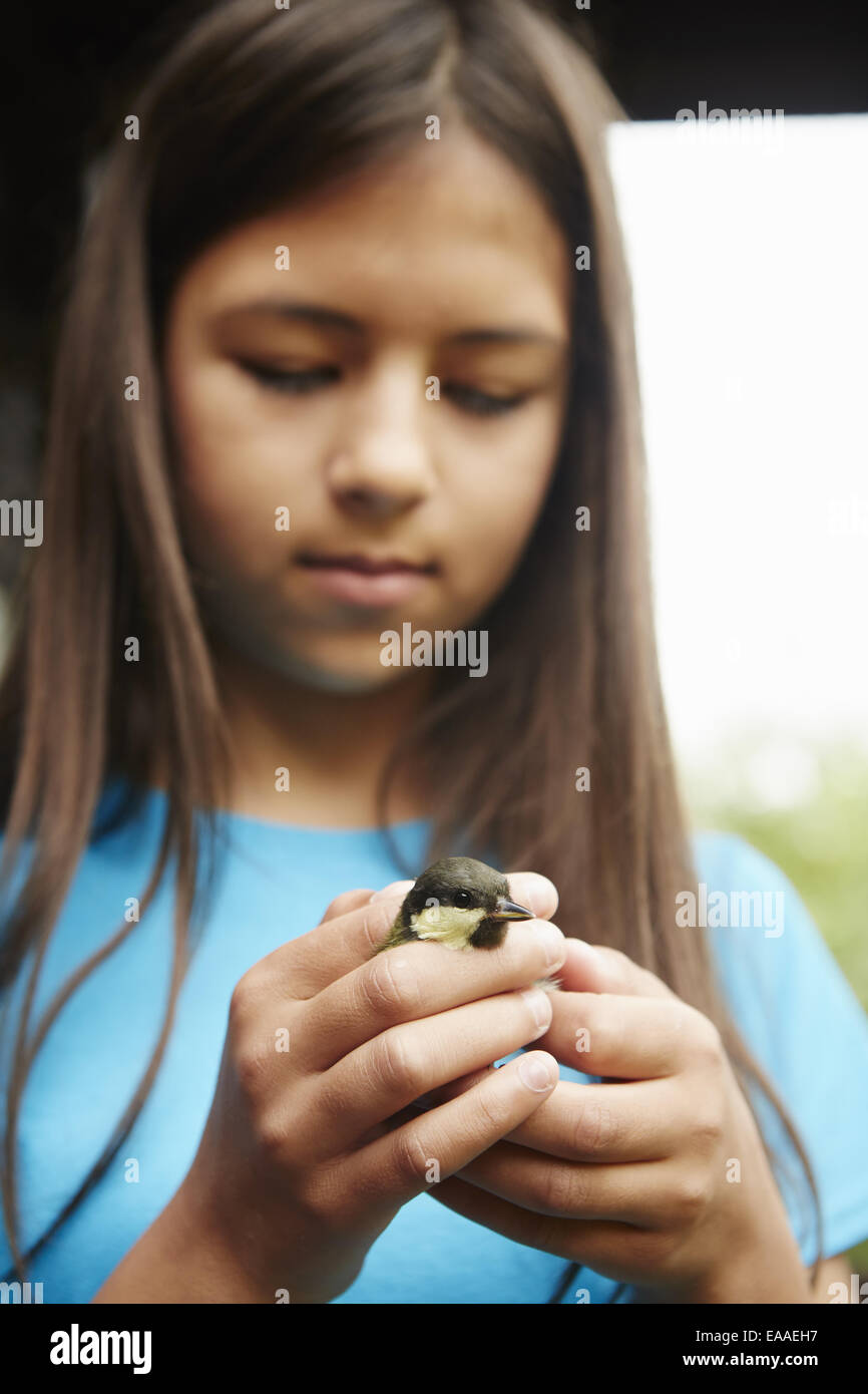 Ein junger Mädchen, ein Vogelbeobachter und Naturliebhaber, einen kleineren wilden Vogel in ihren Händen hält. Stockfoto