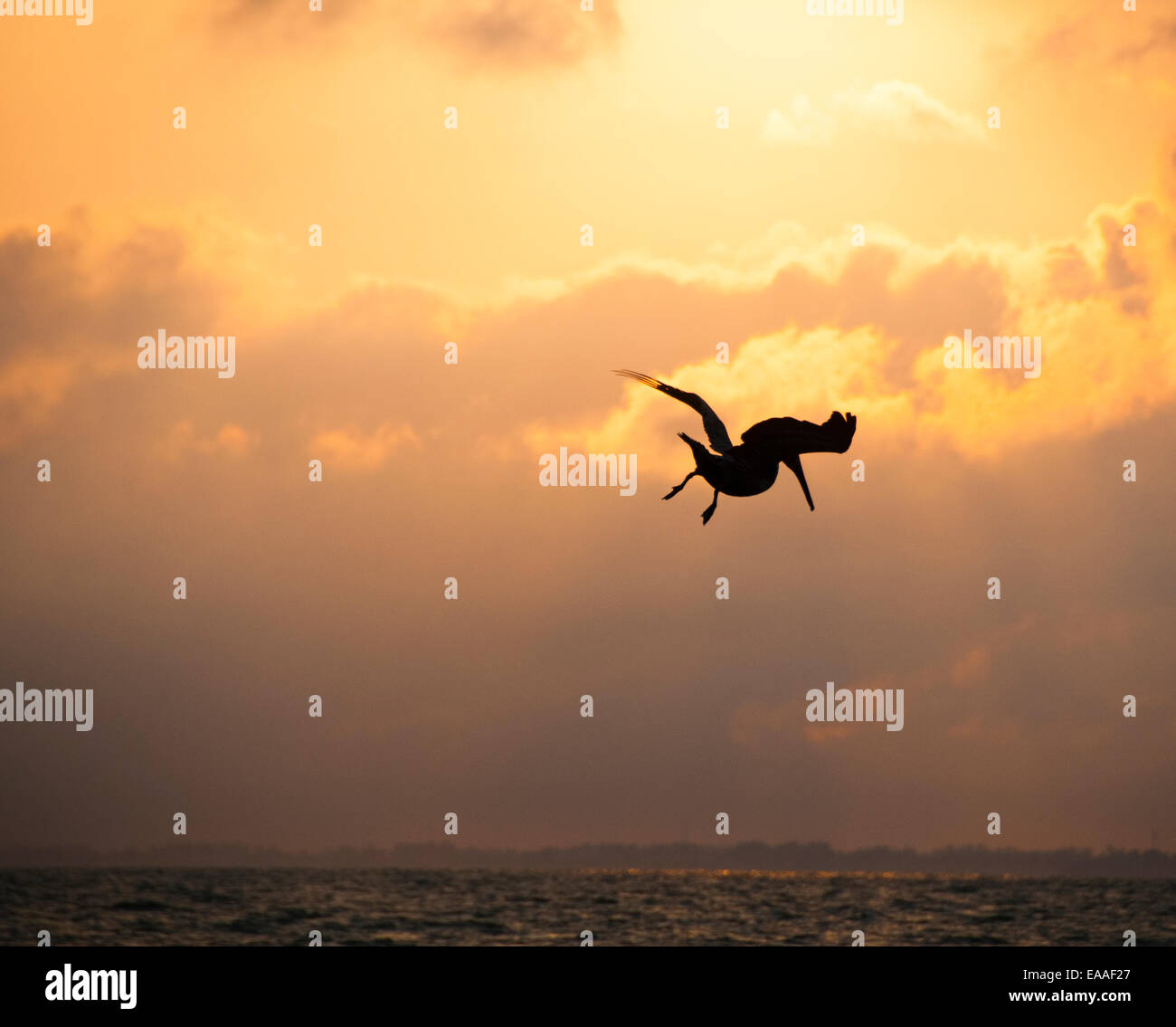 Sonnenuntergang [warmes Licht] Seascape beach Florida Cloud Stockfoto