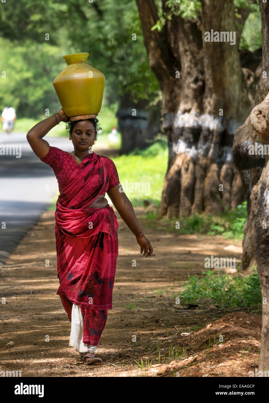 Indische Frau trägt Topf mit Wasser auf dem Kopf entlang einer schattigen Landstraße. Stockfoto
