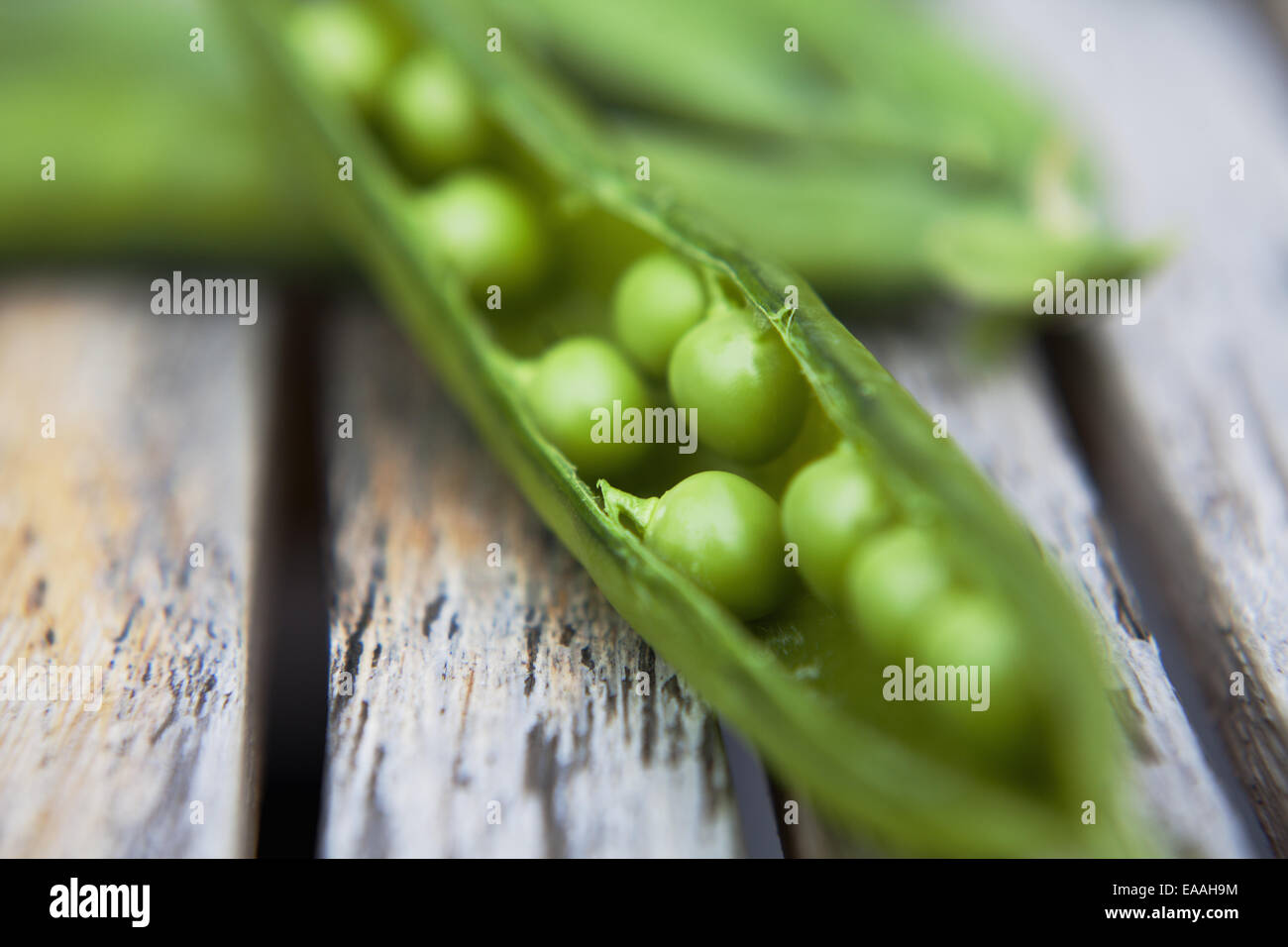 Erbsen, frisch gepflückten mit offenen Hülsen und leuchtend grüne Erbsen. Stockfoto