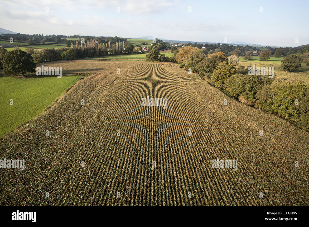 Landschaft aus Heißluftballon betrachtet. Bewirtschafteten Feldern, Wiesen und Wäldern. Stockfoto