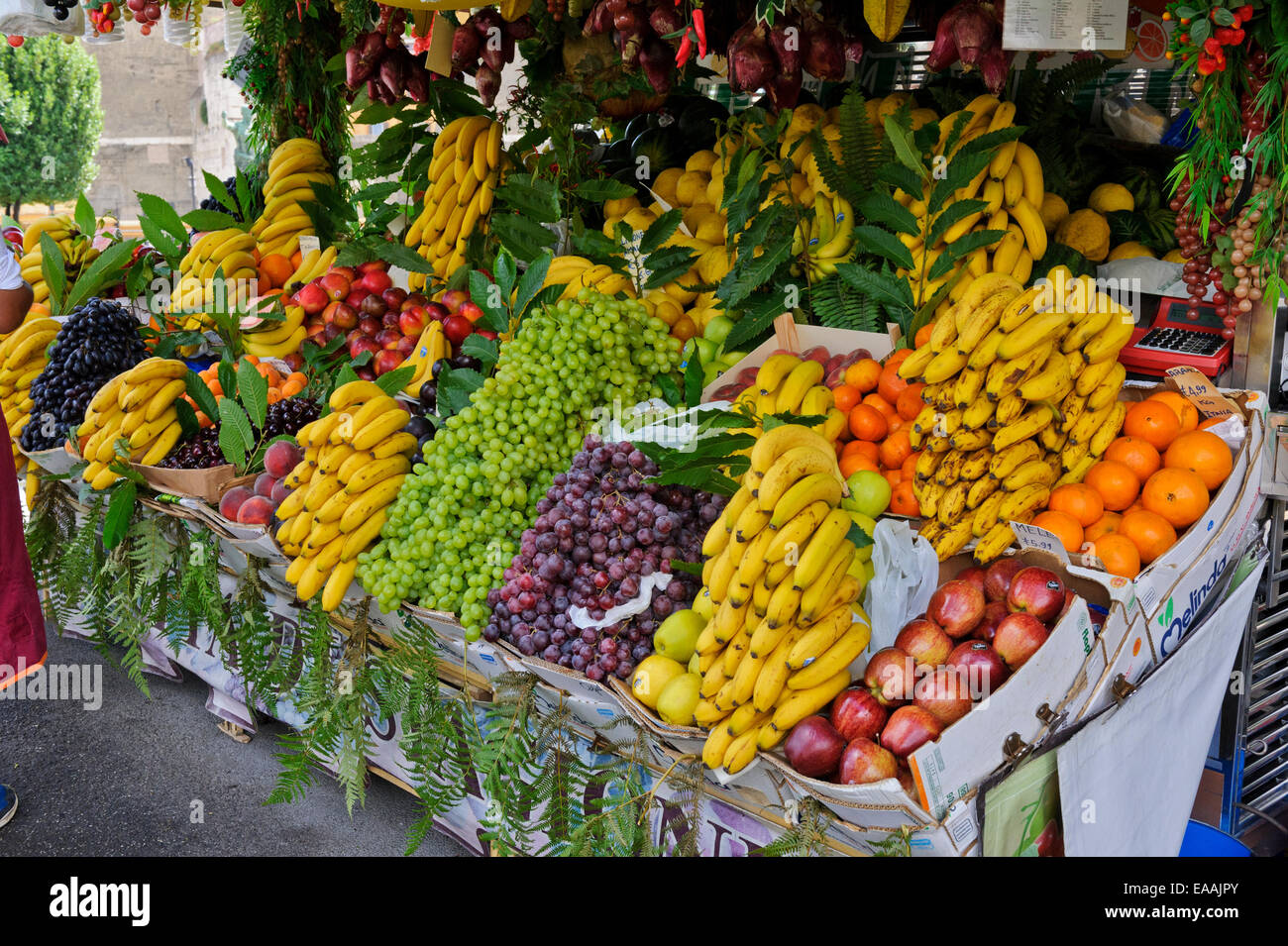Frische tropische Früchte auf den Verkauf in einem kleinen outdoor-Markt in der Stadt von Rom, Italien. Stockfoto