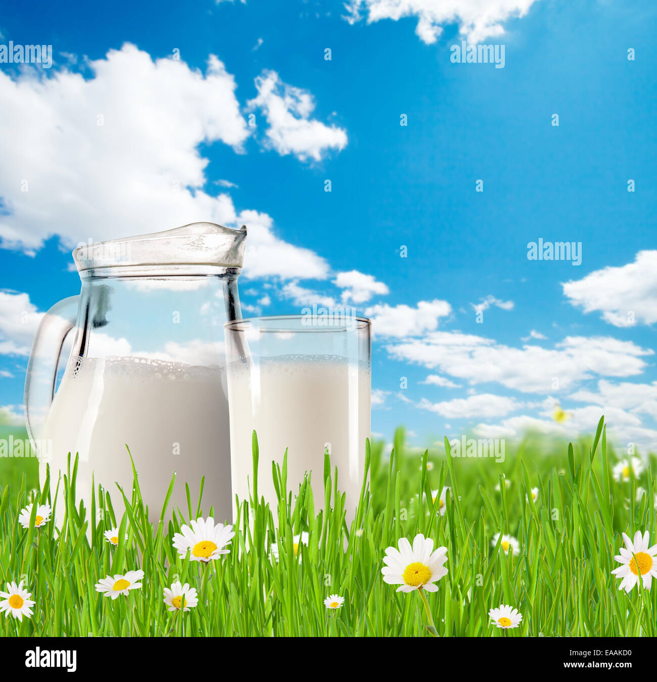 Milchkännchen und Glas voll Milch Gras mit blühenden Kamillen. Blauer Himmel mit Wolken im Hintergrund Stockfoto