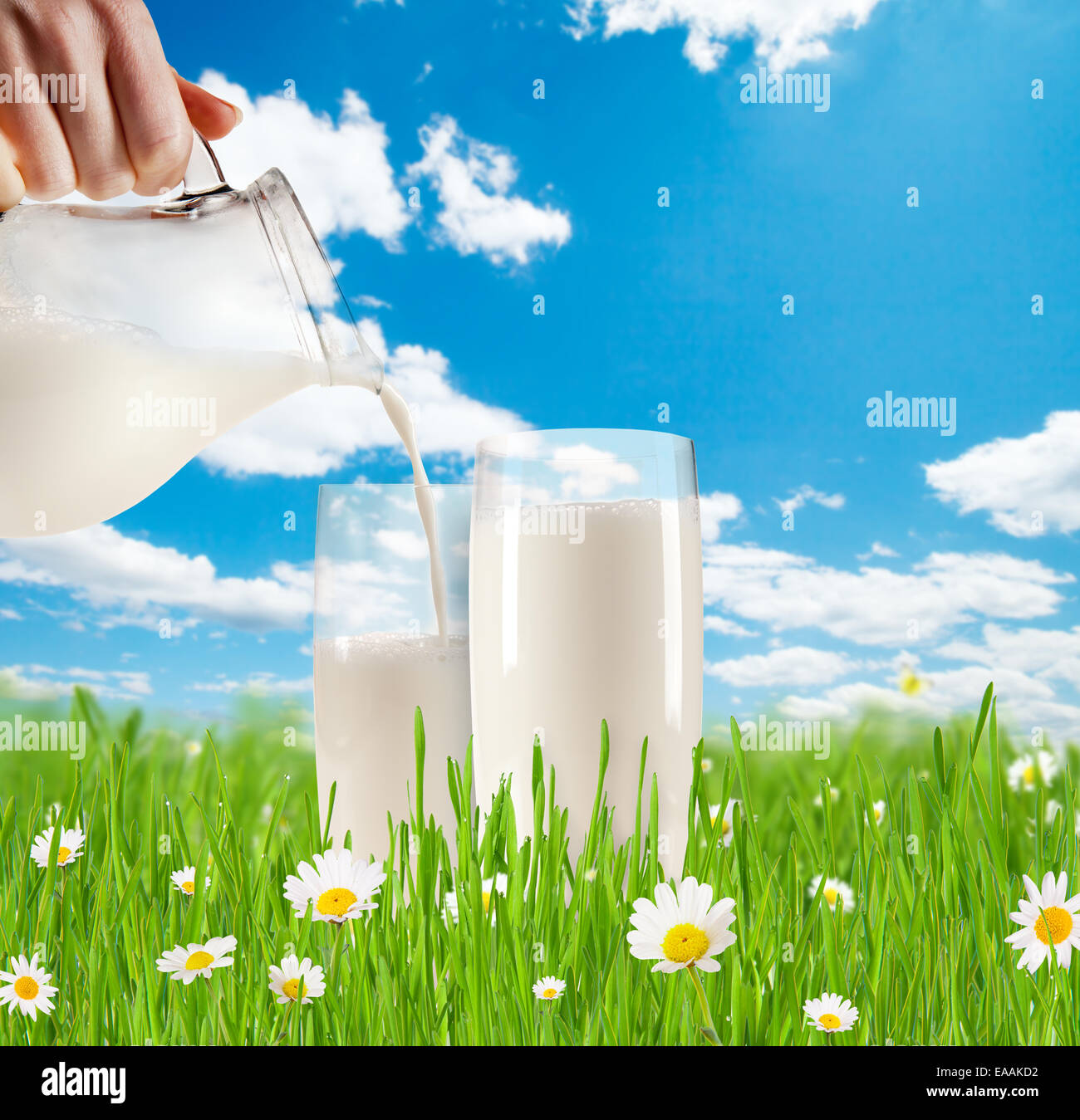 Konzept der Frischmilch in Glas Gras mit blühenden Kamillen. Blauer Himmel mit Wolken im Hintergrund Stockfoto