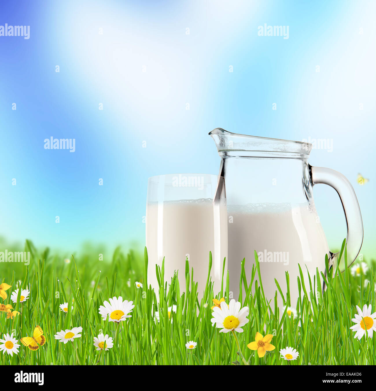 Milchkännchen und Glas voll Milch Gras mit blühenden Kamillen. Blauer Himmel mit Wolken im Hintergrund Stockfoto