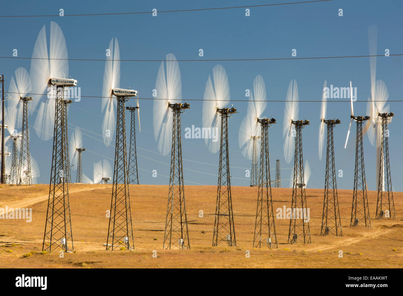 Bestandteil der Tehachapi Pass Wind farm, das erste groß angelegte Wind Farmgebiet entwickelt in den USA, California, USA. Stockfoto