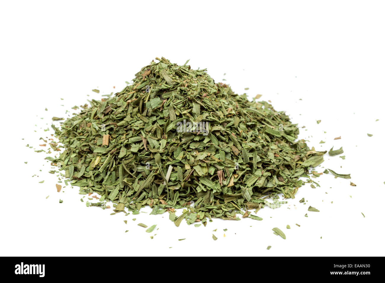 Estragon - Estragon - Artemisia Dracunculus Gewürze isoliert auf weißem Hintergrund Stockfoto