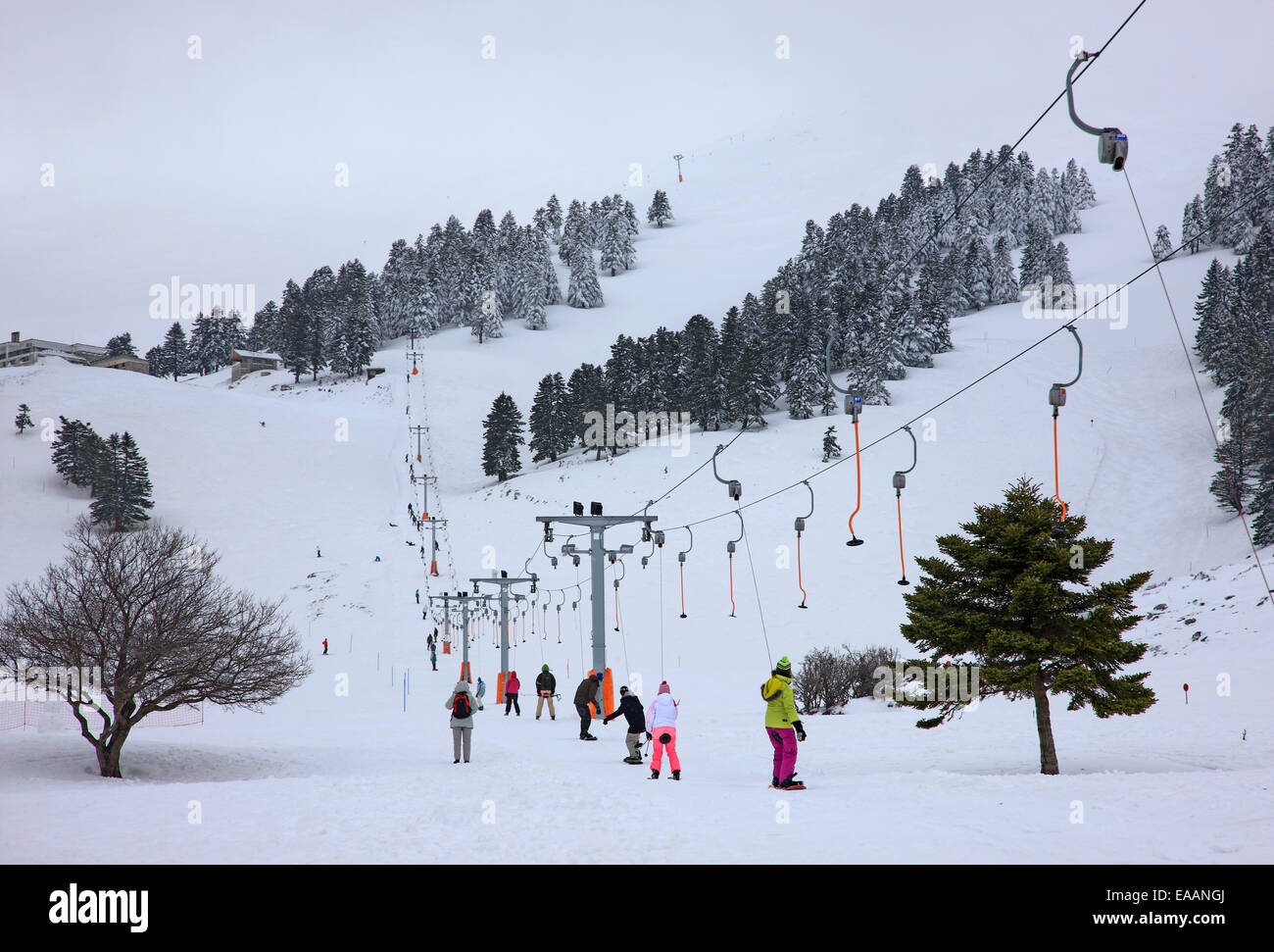 Im Ski Zentrum von Kalavrita Chelmos Gebirge, Achaia, Peloponnes, Griechenland Stockfoto