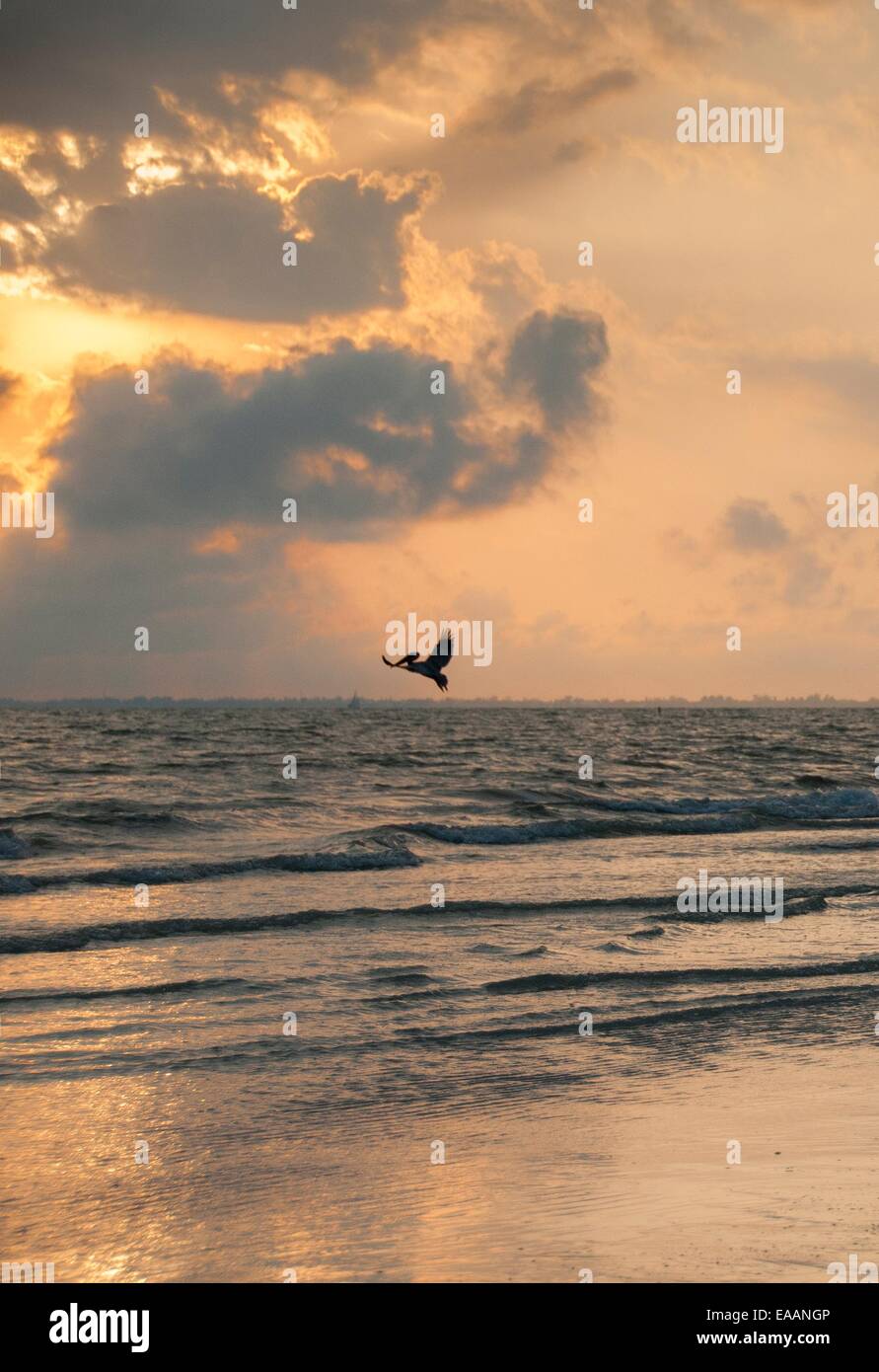 Sonnenuntergang [warmes Licht] Seascape beach Florida Cloud Stockfoto
