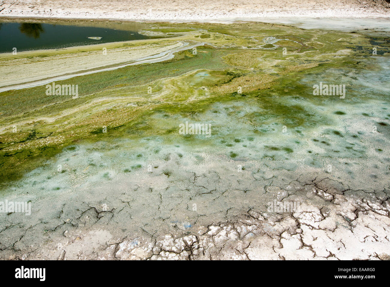 A ausgetrocknet See am Tehachapi Pass, Kalifornien, USA. Kalifornien ist in der Mitte eine vier Jahre lange Dürre. Stockfoto