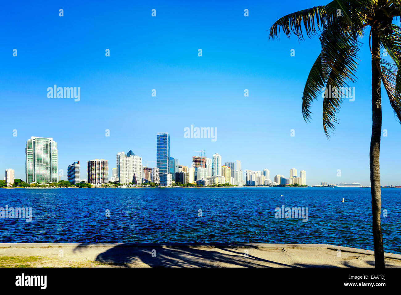 Skyline von Miami Downtown tagsüber mit Biscayne Bay. Stockfoto