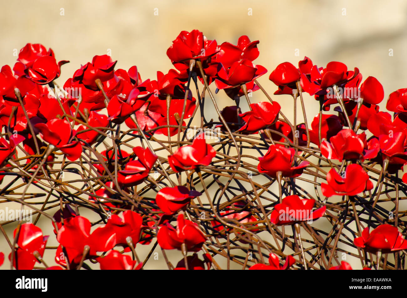 Blut fegte Länder und Meere der Roten ist ein 2014 installation Kunst in den Burggraben der Tower von London, anlässlich des 100. Todestages des Großen Krieges platziert Stockfoto