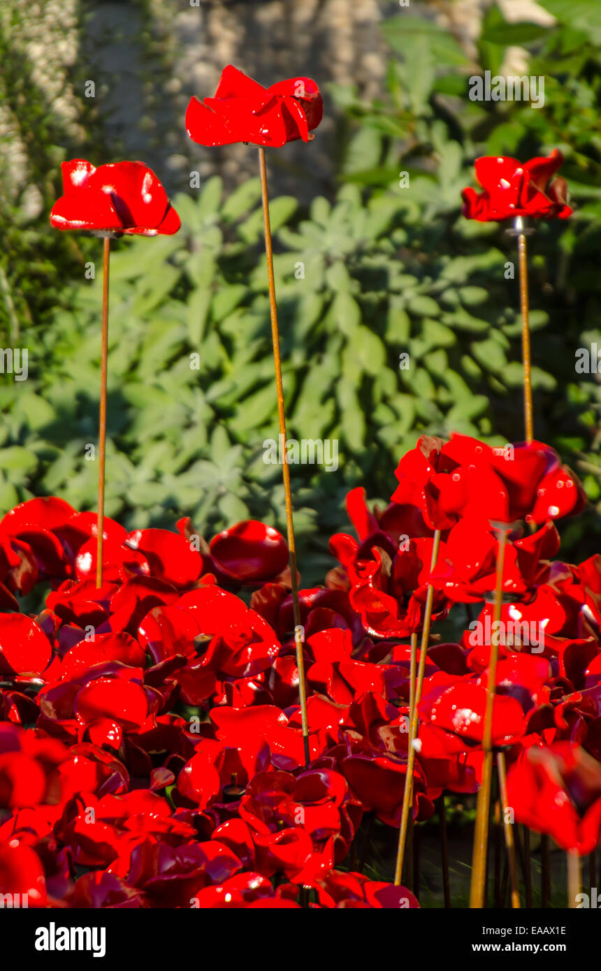 Blut fegte Länder und Meere der Roten ist ein 2014 installation Kunst in den Burggraben der Tower von London anläßlich des 100. Jahrestages der Große Krieg gelegt. Großbritannien Stockfoto