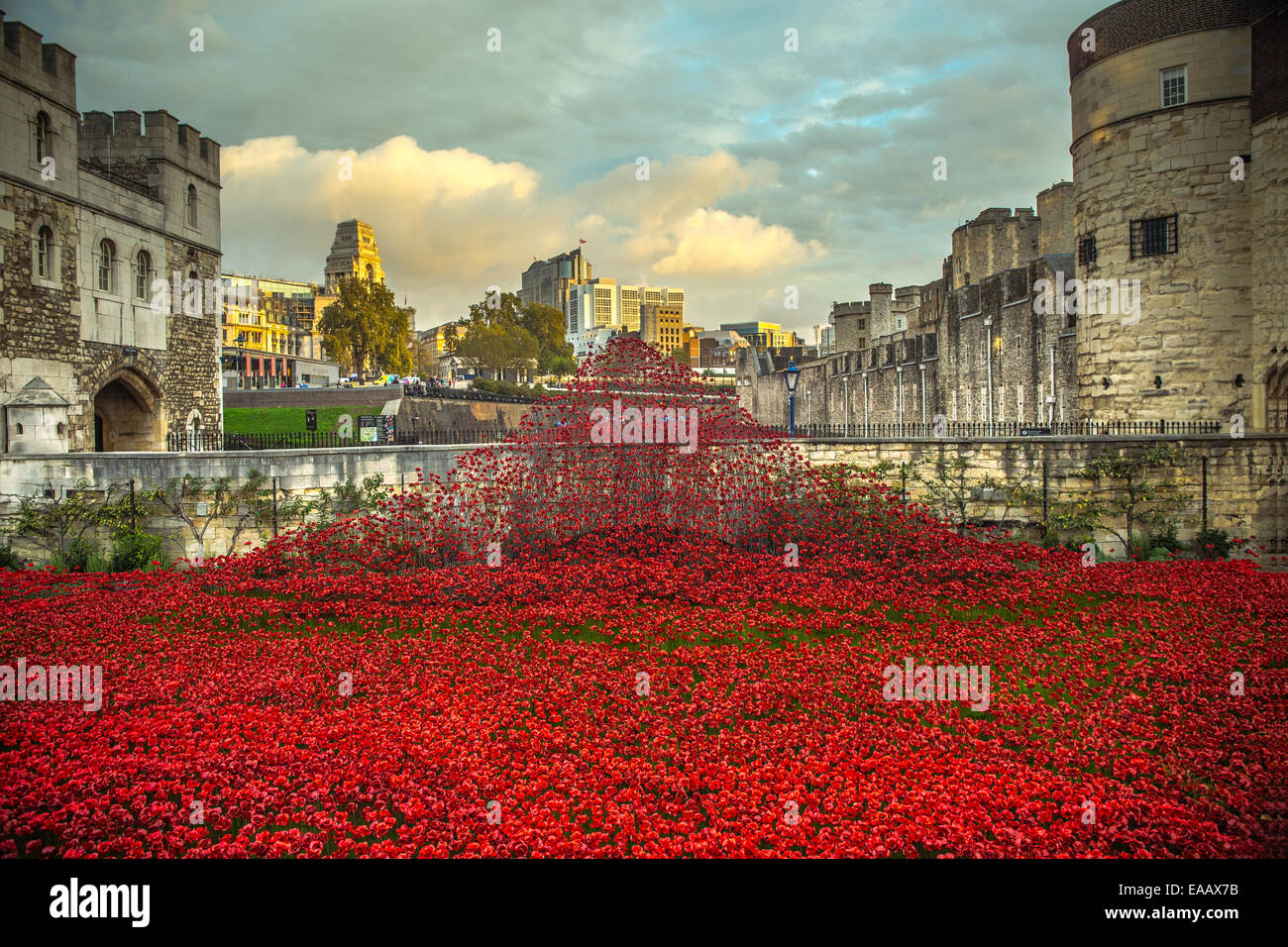 Blut gefegt, Länder und Meere rot Stockfoto