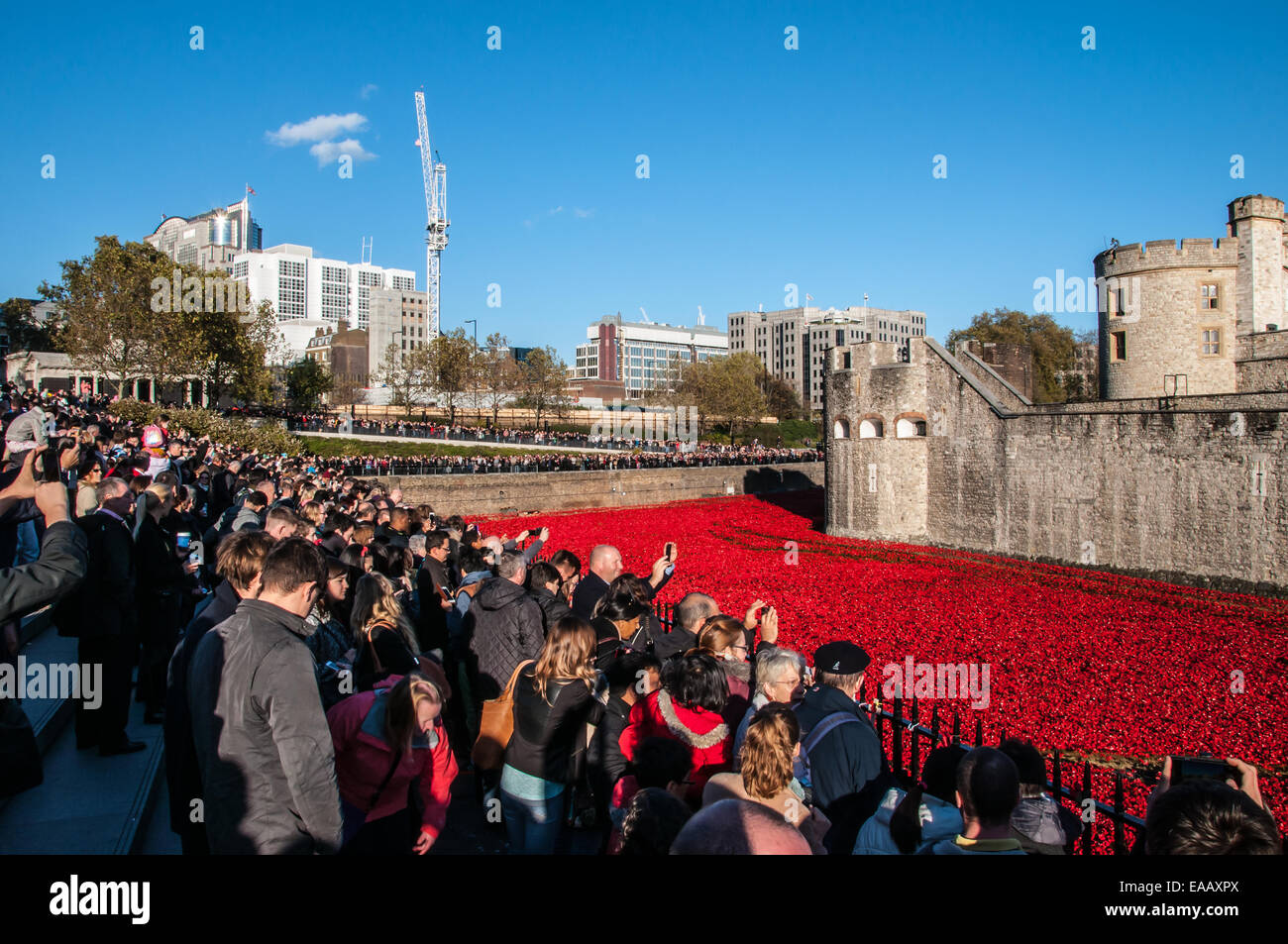 Blut fegte Länder und Meere der Roten ist ein 2014 installation Kunst in den Burggraben der Tower von London, anlässlich des 100. Todestages des Großen Krieges gelegt, Großbritannien Stockfoto