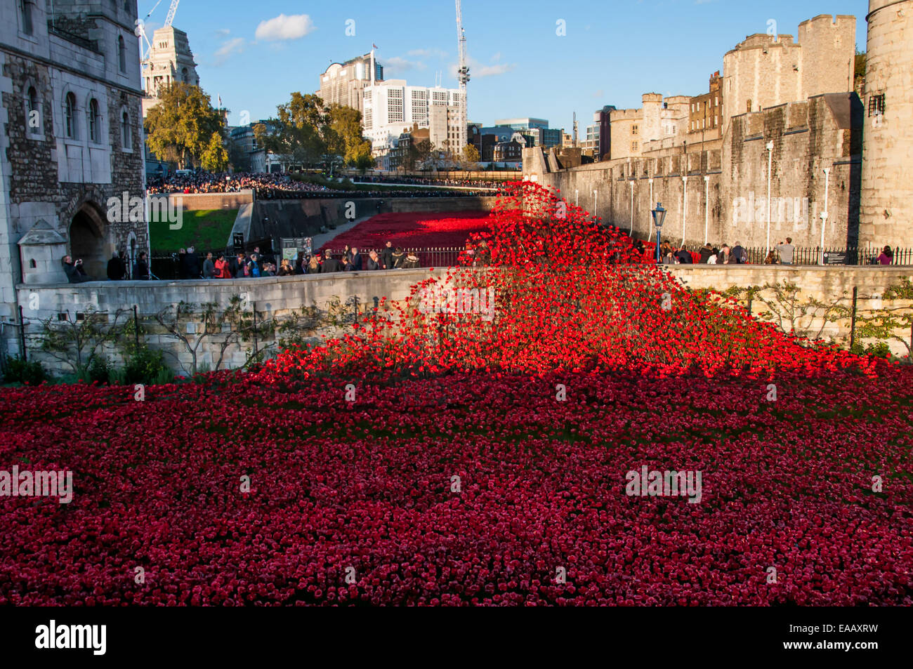 Blut fegte Länder und Meere der Roten ist ein 2014 installation Kunst in den Burggraben der Tower von London, anlässlich des 100. Todestages des Großen Krieges gelegt, Großbritannien Stockfoto