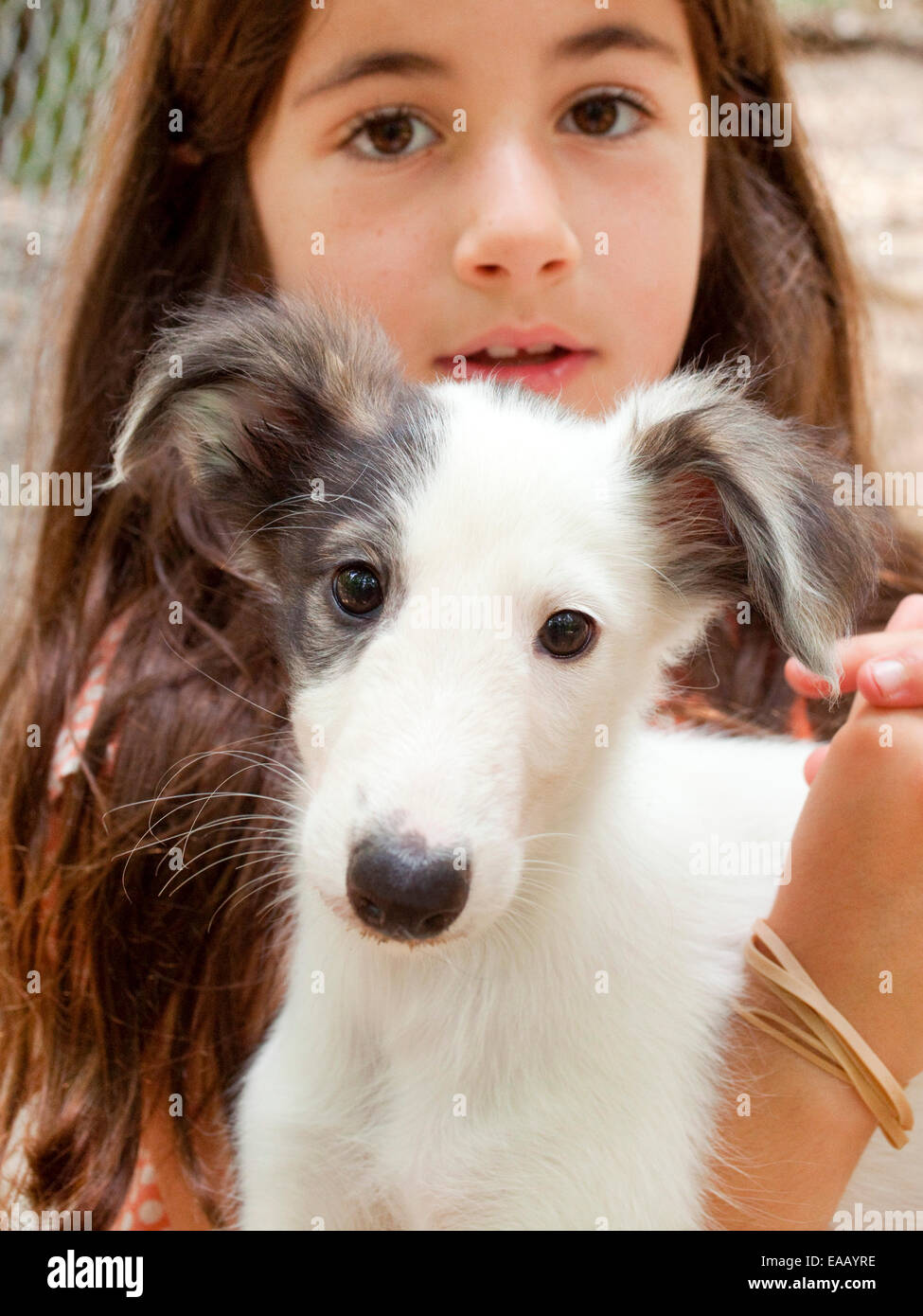 Tier Halten Stockfotos und -bilder Kaufen - Alamy