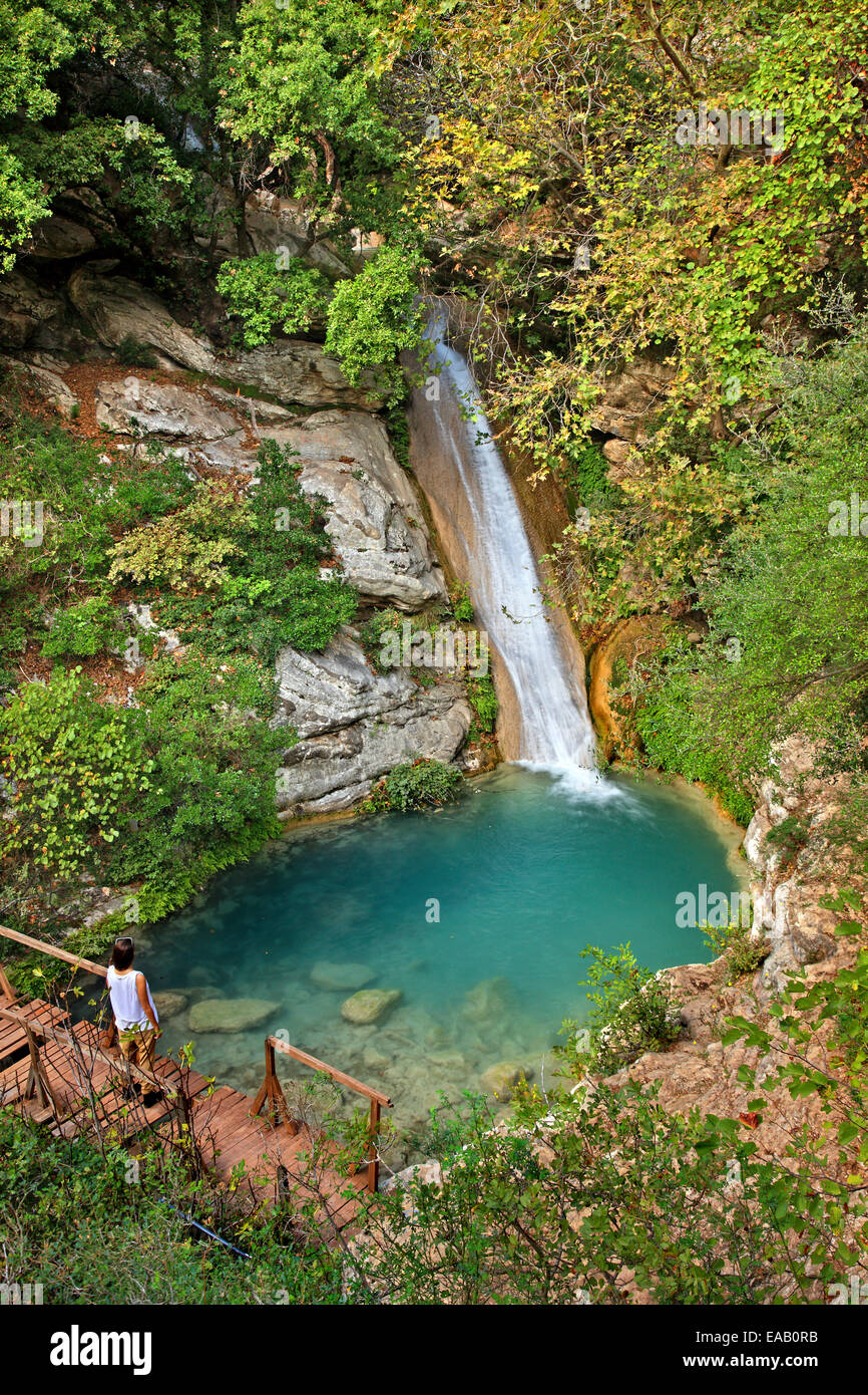 Einer der Wasserfälle in Neda Schlucht, Ilia-Messenien, Peloponnisos (Peloponnes), Griechenland. Stockfoto