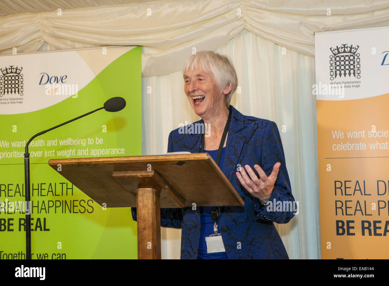 Sue Campbell anlässlich des Körpers Vertrauen AWARDS 2014 House Of Commons 2014. Stockfoto