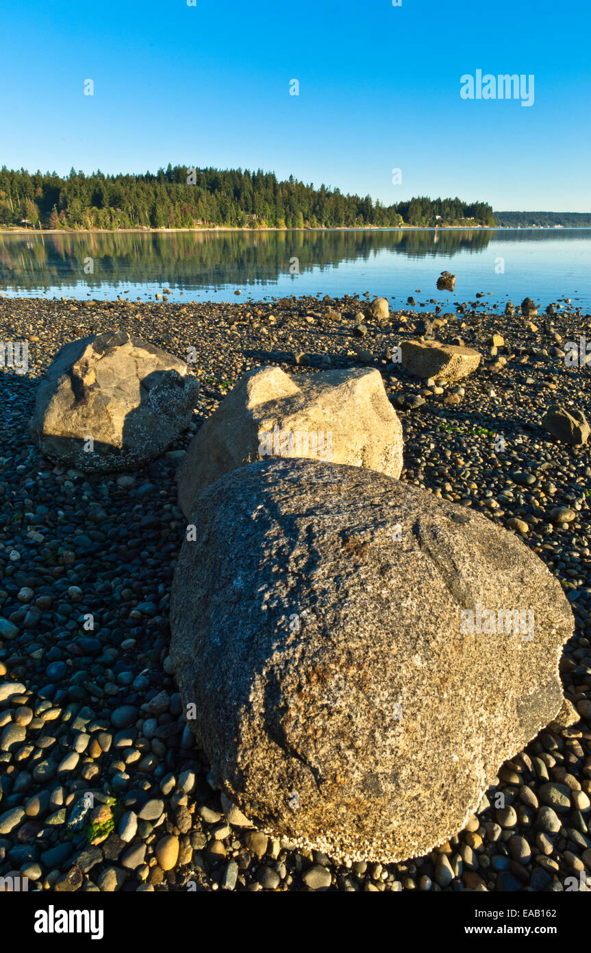 Morgen am Mayo Cove, Penrose Point State Park, wichtige Peninsula, Washington, USA Stockfoto