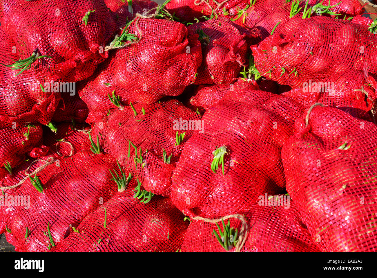 Indische Zwiebel Taschen, South Road, Southall, London Borough of Ealing, Greater London, England, Vereinigtes Königreich Stockfoto