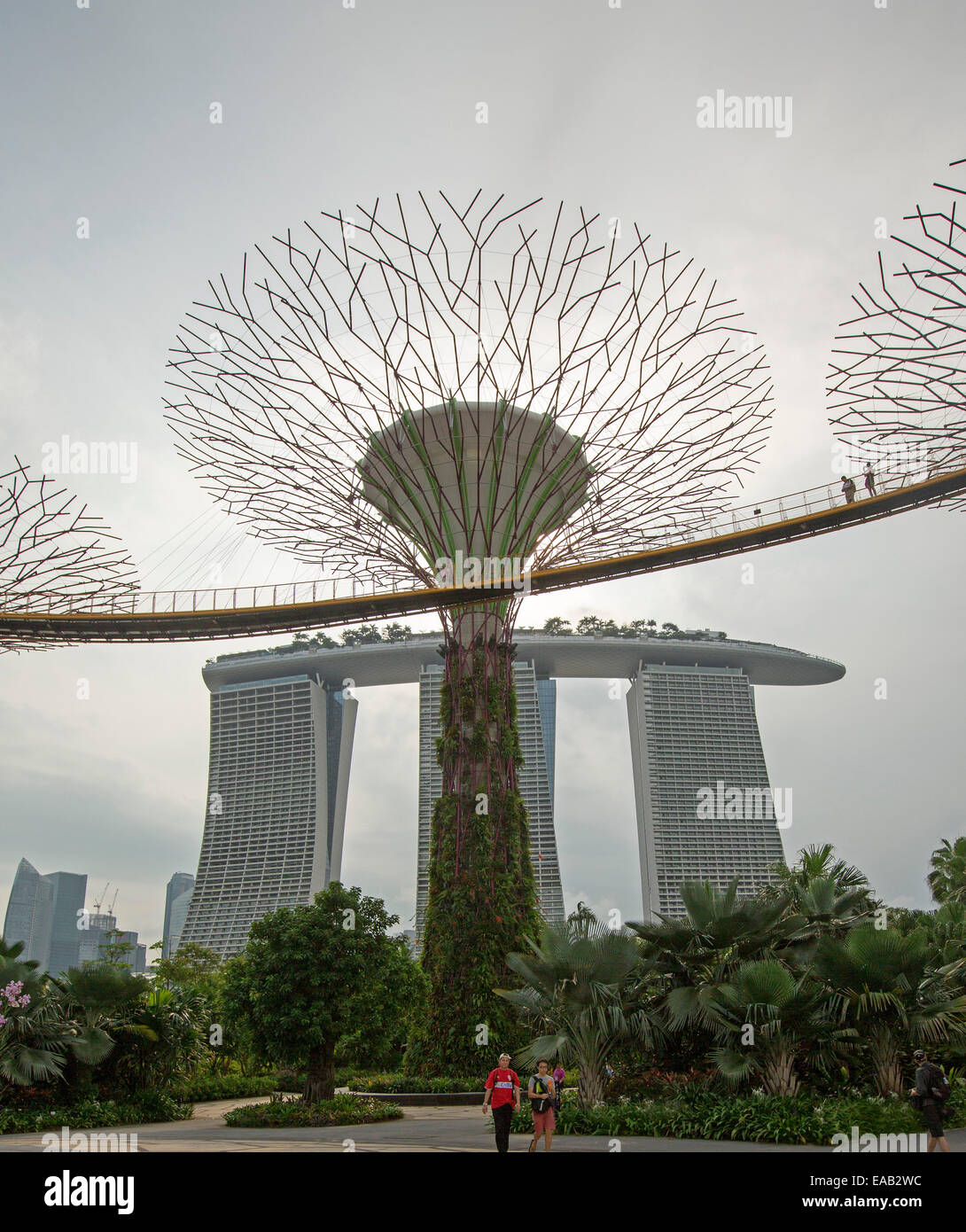 Blick auf immense "Supertree", einen vertikalen Garten, hohe Skyway-Plattform in Singapurs Gardens By The Bay & riesige Casino / Hotel Stockfoto