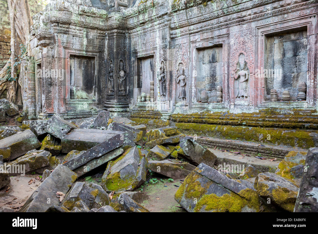 Kambodscha.  Ta Prohm Tempel Ruinen, 12.-13.. Jahrhundert.  Devatas (Gottheiten) unter den Ruinen der einen Innenhof. Stockfoto