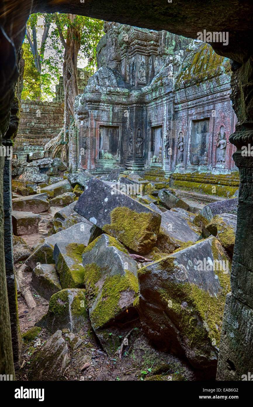 Kambodscha.  Ta Prohm Tempel Ruinen, 12.-13.. Jahrhundert.  Devatas (Gottheiten) säumen die Wand einen Innenhof in Schutt und Asche. Stockfoto