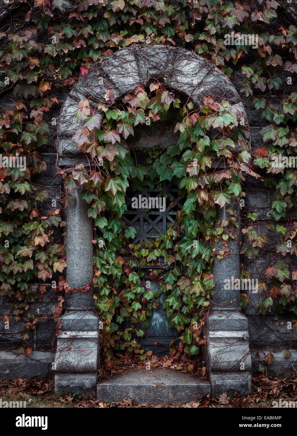 Gruft mit Efeu. Stockfoto
