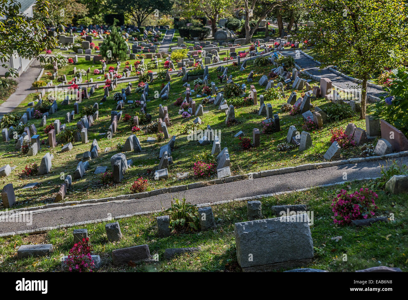 Hartsdale Pet Cemetery, älteste operative Tierfriedhof der Welt, Hartsdale, New York, USA Stockfoto