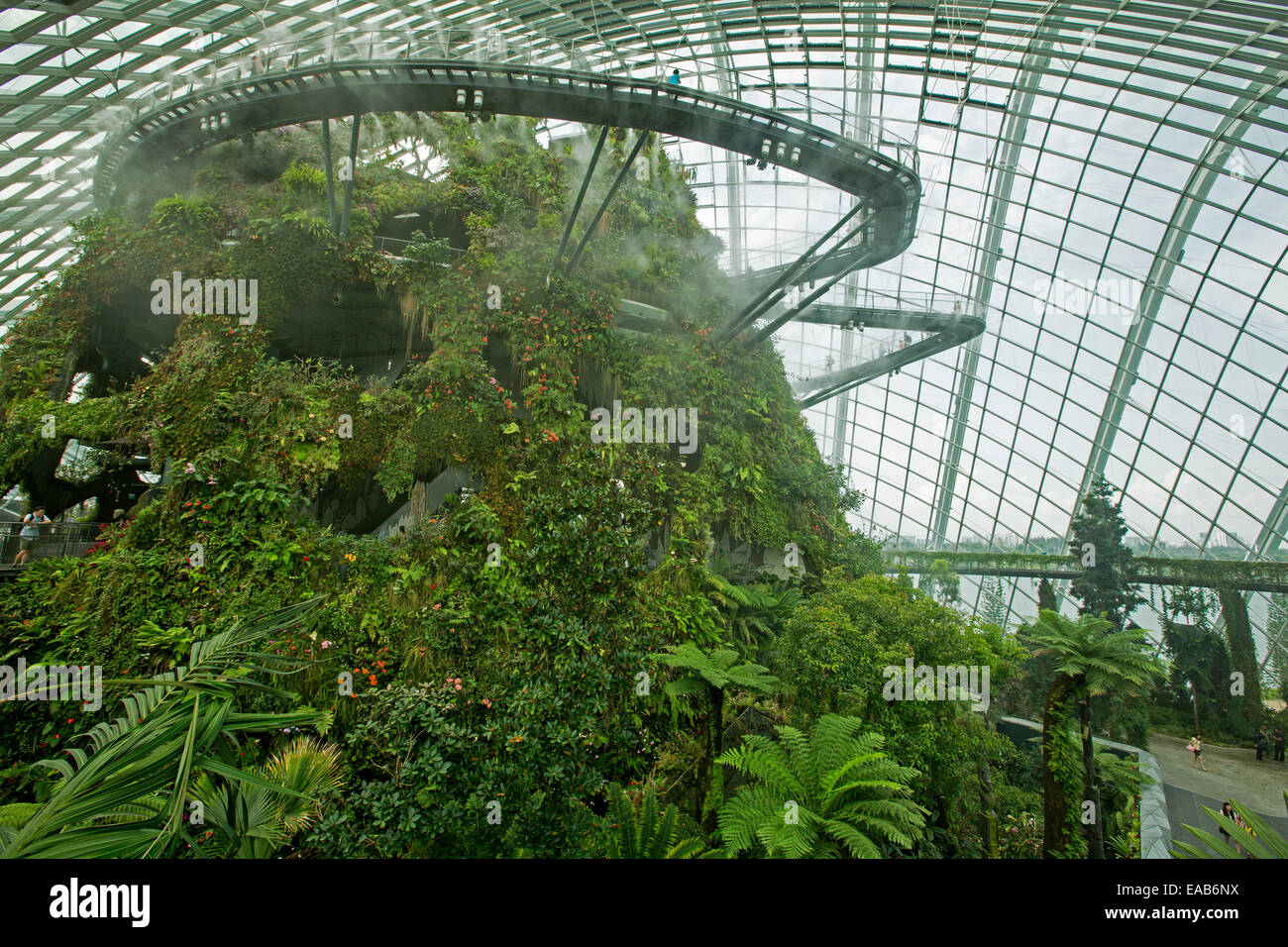 Spektakuläre Nebelwald in riesigen verglasten Wintergarten mit Menschen auf Gehwegen Wicklung hoch oben & durch Vegetation in Singapur Gardens By The Bay Stockfoto