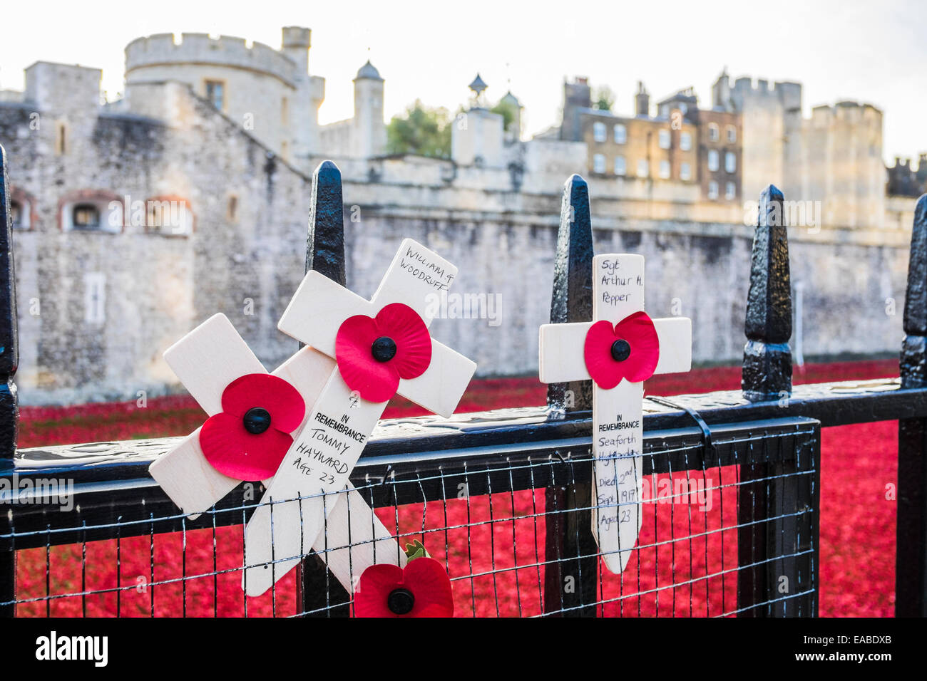 Blut fegte Lands & See rot an der Tower of London Stockfoto