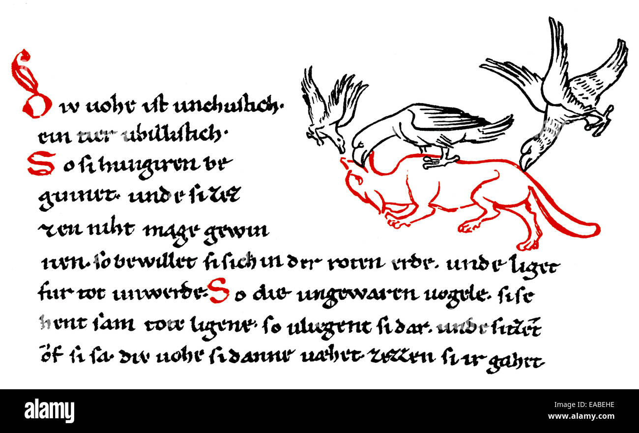 HistHistoric drucken, Millstätter Handschrift, ein illustriertes Manuskript, geschrieben im südlichen bayerischen frühen mittelhochdeutschen, 12. Stockfoto